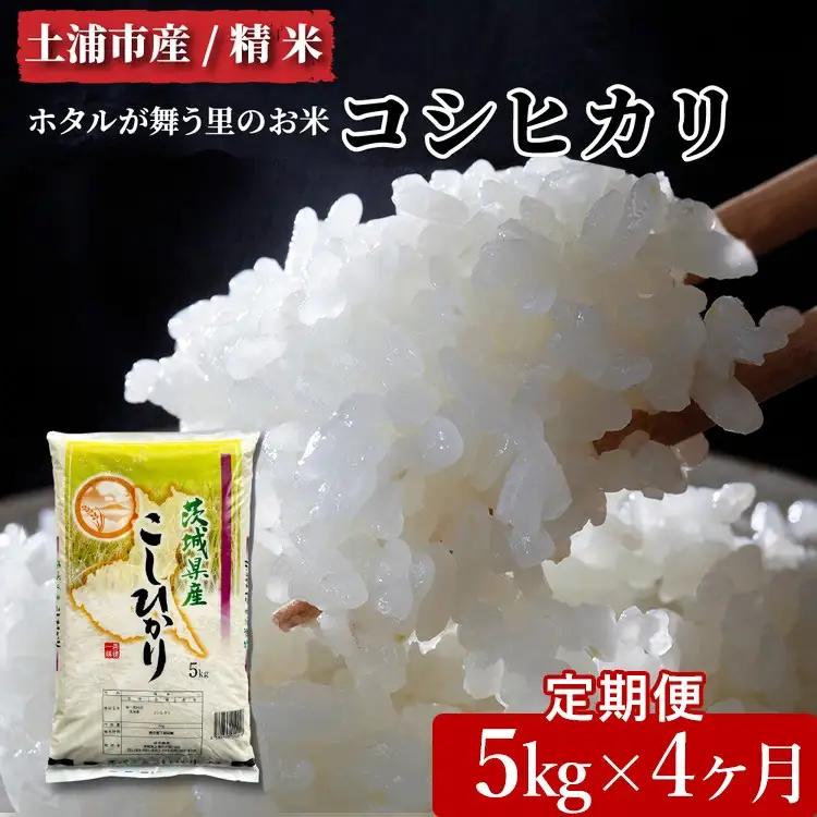 【先行予約】【定期便 4ヶ月】令和8年産 土浦市産 コシヒカリ 精米5kg ホタルが舞う里のお米 ※2026年10月～発送