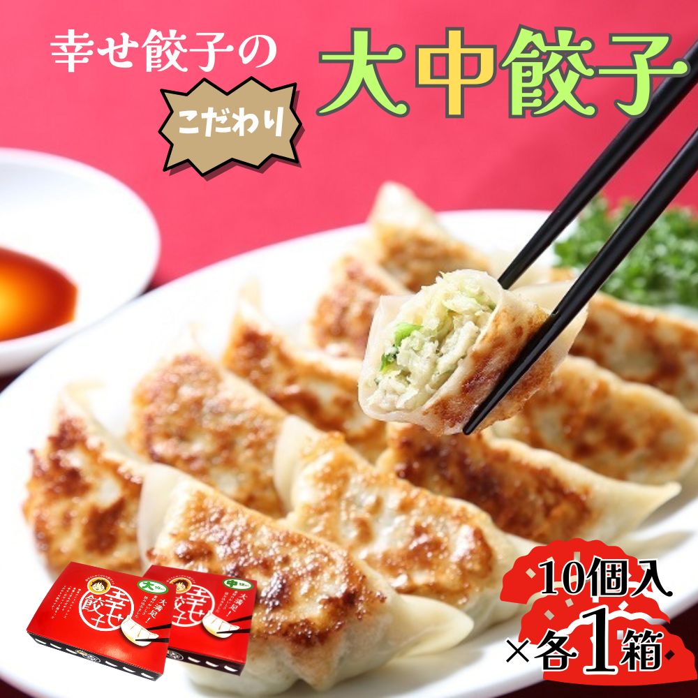 【ふるさと納税】幸せ餃子のこだわり大・中餃子(各1箱)【配送不可地域：離島】【1404207】