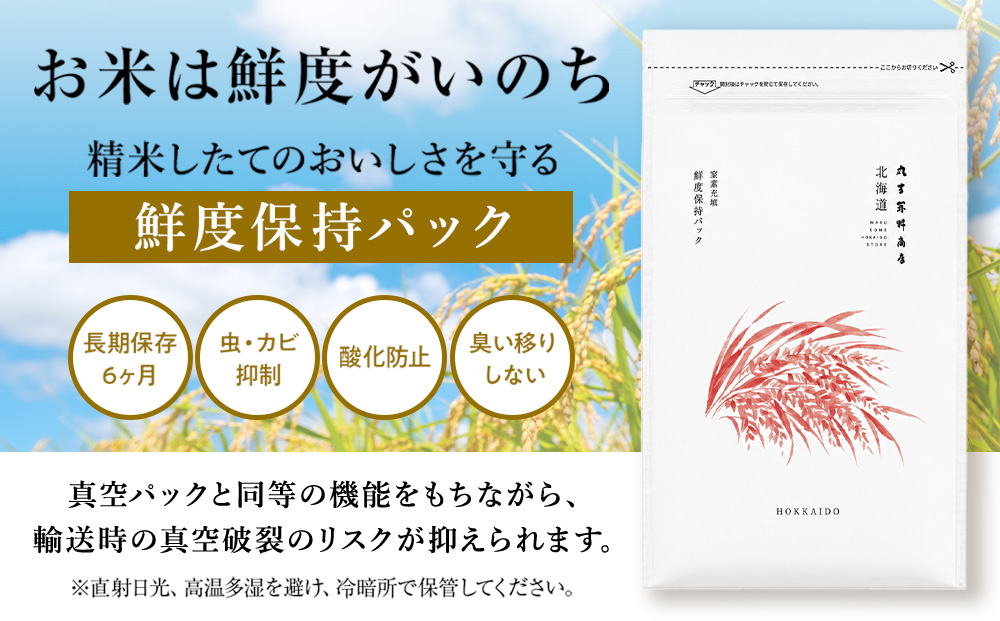 【定期便12回・中旬発送】北海道産ななつぼし 10kg(鮮度保持パック5kg×2袋) 特A お米  千歳 北海道米