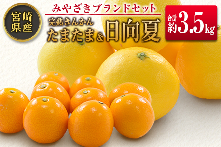 ◆みやざきブランドセット（完熟きんかん たまたま・日向夏）合計約3.5kg 宮崎県産