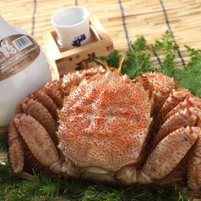 ふるさと納税 釧路市 釧路福司「鶴」本醸造900mlと毛がに400gのセット ふるさと納税 酒 かに F4F-5348