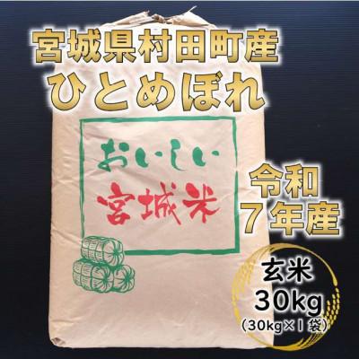 ふるさと納税 村田町 令和7年産 ひとめぼれ 玄米30kg 宮城県村田町産