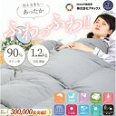 【ふるさと納税】羽毛掛け布団 シングル 日本製 無地グレー ダウン90% 1.2kg 立体スクエアキルト 8か所ループ付き 抗菌 防臭 消臭 パワーアップ加工 かけ布団 肌布団 軽い ふっくら ふんわり 爽やか 防ダニ 保温 暖かい ふわふわ ダウンパワー330dp