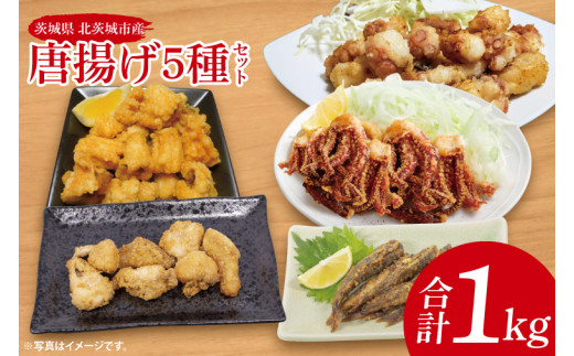 唐揚げ５種セット（メヒカリ、いか、アンコウ、穴子、タコ）【めひかり イカ あんこう あなご たこ 唐揚げ からあげ 魚 海産物 茨城県 北茨城市 冷凍 惣菜 おかず 25000円以内】(CU004)