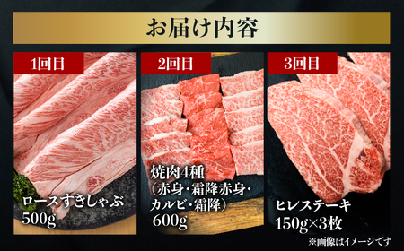 【 定期便 】 A5 飛騨牛 プレミアム 3回 計1.5kg 飛騨牛 [S609]