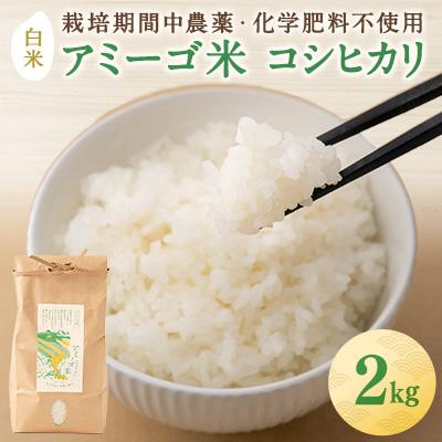 ふるさと納税 大子町 【新米先行予約】アミーゴ米 2kg(コシヒカリ・白米・天日干し)【11月中旬頃出荷】|茨城県 大子町