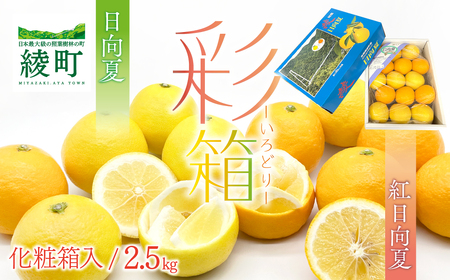 【先行予約/期間限定】紅日向夏と日向夏の彩り箱 2.5kg / 宮崎県産 綾町産 日向夏 紅日向夏 柑橘 日向夏 プレゼント ギフト 贈答 果物 フルーツ