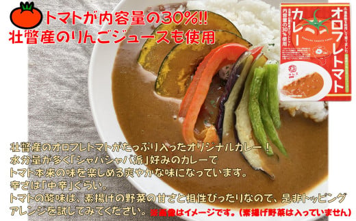 北海道壮瞥産　お米とレトルトカレー3種セット SBTA047