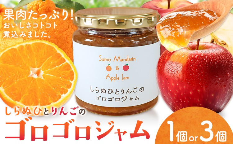 
                  ジャム フルーツ 不知火 りんご しらぬひとりんごのゴロゴロジャム 選べる 1個 3個 (1個250g) 有限会社美馬交流館《30日以内に出荷予定(土日祝除く)》徳島県 美馬市 送料無料 ジャム 果物 果肉 ごろごろ たっぷり みかん リンゴ しらぬい デコポン
                