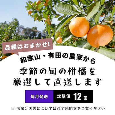 ふるさと納税 印南町 【発送月固定定期便】季節の柑橘定期便A【フルーツ定期便】【和歌山県有田】全12回 |  | 01