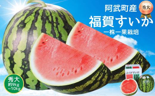 【先行予約】すいか 福賀すいか 秀大 約9～10kg 山口県阿武町産 1株1玉栽培 大玉 高糖度 【2027年7月上旬～8月中旬順次発送】