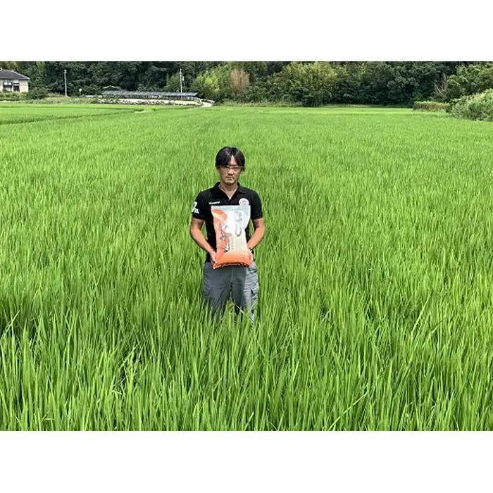 和歌山県産にこまる１0キロ（５キロ２袋）