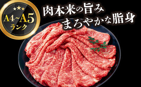 【厳選部位】【A4～A5】長崎和牛サーロインしゃぶしゃぶすき焼き用　300g【株式会社 MEAT PLUS】[DBS016]