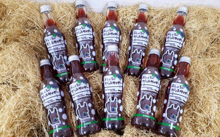 あしょろカシスサイダー 10本《足寄町》【NPO法人あしょろ観光協会】カシス 炭酸飲料 炭酸 炭酸入り 爽やか 230ml オリジナル 地元 足寄町産 北海道産 道産 北海道 [BEAE017]