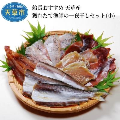 ふるさと納税 天草市 船長おすすめ 天草産 獲れたて漁師の一夜干しセット(小)_S072-004A