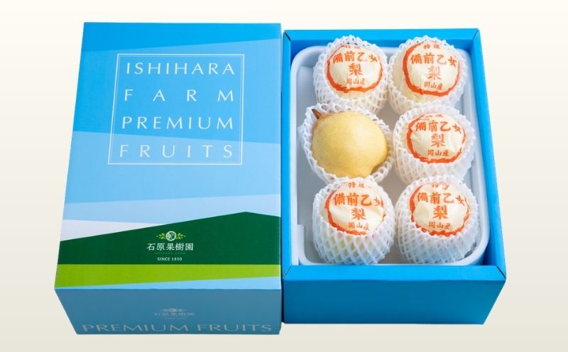 備前乙女梨 ヤーリー梨 3kg箱 赤秀 5～6玉入り 岡山県産 | ヤーリー梨 鴨梨 梨 特選品 上級品 贈り物 御歳暮 果物 くだもの フルーツ 石原果樹園【ishk031-01】