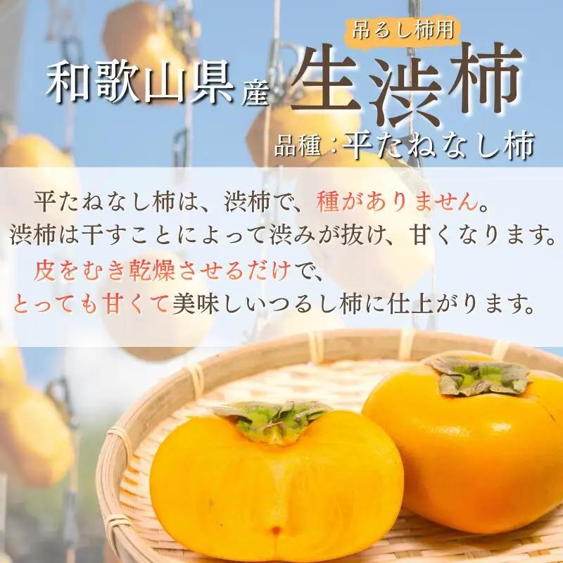 甘さが違う！とっても甘くなる生渋柿（平たねなし柿）吊るし柿用  T字枝or吊るしクリップ付約14.5～15kg　約60～90個＜2026年10月中旬～11月上旬ごろ順次発送＞Ted【art015B】