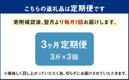 AU-14 3ヵ月定期便　高級食パン 3斤×3回 食パン パン