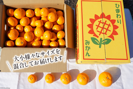 【期間限定発送】 みかん 訳あり 日向ひまわり 石地みかん 2S ～ L サイズ 5kg [ひまわり農園 宮崎県 日向市 452061493] ミカン 小玉 大玉 柑橘 家庭用 数量限定