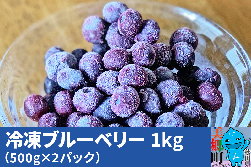 
くろかわ農園 冷凍ブルーベリー 1kg（500g×2パック）
