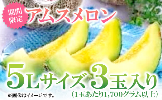 A-169 益田産アムスメロン　特大5Lサイズ（3玉入り）