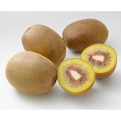 ふるさと納税 観音寺市 香川県オリジナルキウイ「さぬきエンジェルスイート」約1.2kg |  | 01