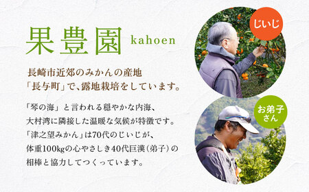 【ご家庭用】 津之望約3kg（つののぞみ） 長与町/果豊園[ECL008]