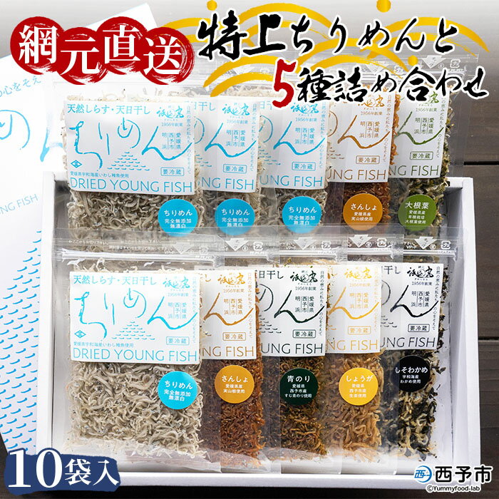 【ふるさと納税】＜天日干し 特上ちりめんと5種詰め合わせ 10袋セット ギフト箱入り＞ じゃこ しらす 小魚 つめあわせ 実山椒 生姜 しそわかめ 大根葉 青のり 海産物 ごはんのお供 おにぎり 具材 おつまみ 網元・祇園丸 愛媛県 西予市【冷蔵】『1か月以内に順次出荷』