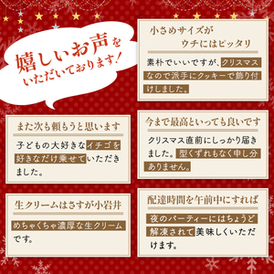 【 2025年 12月24日お届け】 小岩井農場 クリスマスケーキ クリーム ショコラ ケーキ 4号 先行予約 ／ オーナメント クリスマス ケーキ ホールケーキ クリームケーキ チョコレートケーキ 