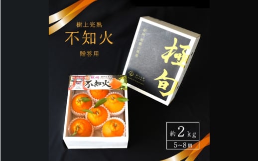 【先行予約】【数量わずか】樹上完熟しらぬい（不知火） 5個~8個 秀品 2026年2月下旬～2026年4月中旬頃に順次発送予定（お届け日指定不可）/ 和歌山 みかん しらぬい 不知火 フルーツ 柑橘 蜜柑 果物 くだもの【kgr014】