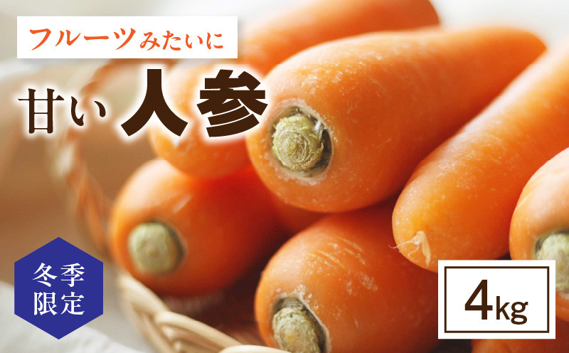 
            【冬季限定】フルーツみたいに甘い人参4kg・S069
          