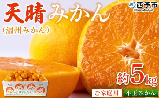 ＜愛媛県明浜産 天晴みかん（温州みかん）約5kg 小玉サイズ＞ 家庭用 訳あり ワケアリ 果物 くだもの フルーツ ミカン 柑橘 特産品 笑丸 愛媛県 西予市【常温】『2026年11月中旬～2027年1月上旬迄に順次出荷予定』