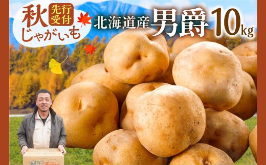 10月より発送開始！先行受付！ホクホク！しっとりなめらか！ 北海道産 男爵 いも じゃがいも 男爵いも 約10kg じゃがいも いも 芋 産地直送 秋_S041-0006-2026