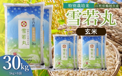 【令和8年産 新米】 斎藤農場の特別栽培米 雪若丸 玄米 30kg（5kg×6袋） 山形県鶴岡市 [K-8222] | ゆきわかまる 30キロ 米どころ 庄内米 ブランド米 米 コメ こめ ご飯 ごはん 美味しい お取り寄せ 農家直送 東北 山形 鶴岡市 国産 おすすめ 人気 返礼品