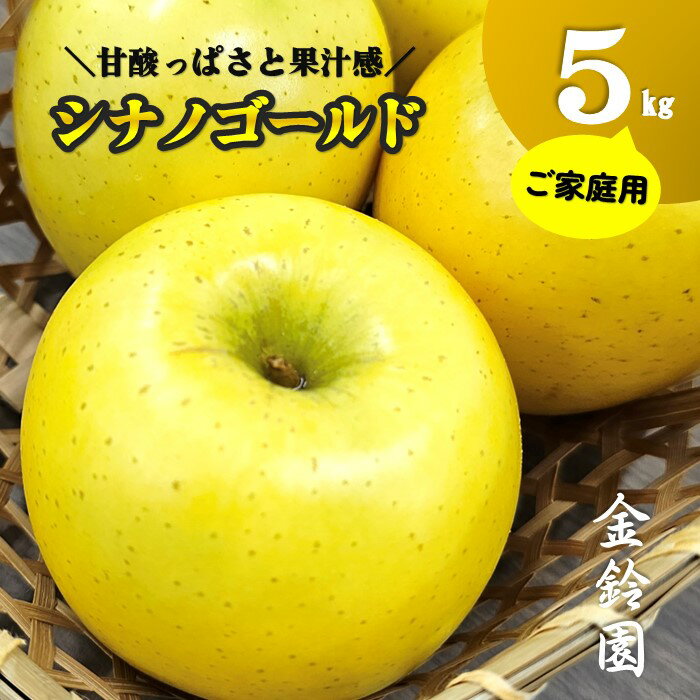 【ふるさと納税】＼予約受付 10月下旬以降順次発送予定 ／【 北上市産 りんご 】シナノゴールド 【 家庭用 】 5キロ (約13〜20玉) 国産 林檎 リンゴ 果物 5kg フルーツ 果実 しなの ゴールド 産地直送 送料無料 旬 秋 冬 東北 岩手 金鈴園 岩手県 北上市 C0520 訳あり