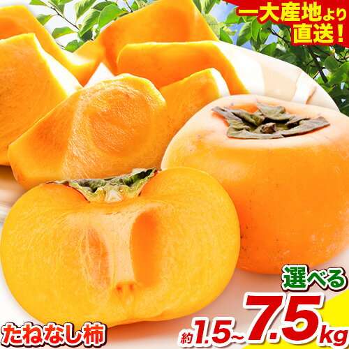 【ふるさと納税】たねなし柿（刀根早生柿・平核無柿）約1.5kg ～ 7.5kg 《2025年9月中旬-11月上旬頃出荷(土日祝除く)》 和歌山県 紀の川市 種なし柿 産地直送 柿 果物 フルーツ 2L〜Mサイズ カキ