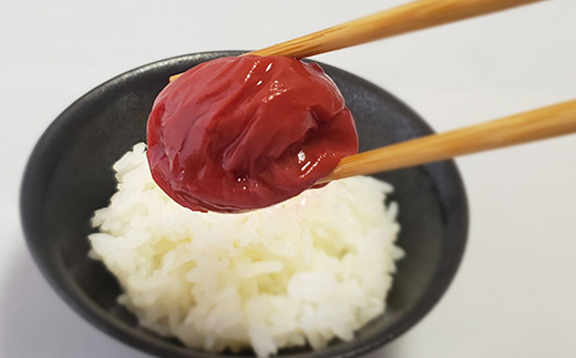 唐津市七山南高梅 田舎梅 (500g×1) 梅干し うめぼし うめ しそ ご飯のお供 ＃irodoriからつ四季の返礼品