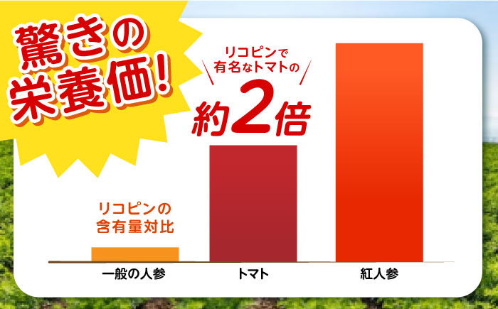 【訳あり】 【甘みと栄養たっぷり！】 真っ赤な人参 「紅天神」 10kg / にんじん ニンジン 人参 やさい 野菜 訳あり 訳アリ わけあり ワケアリ / 諫早市 / 滝商店株式会社 [AHCU00