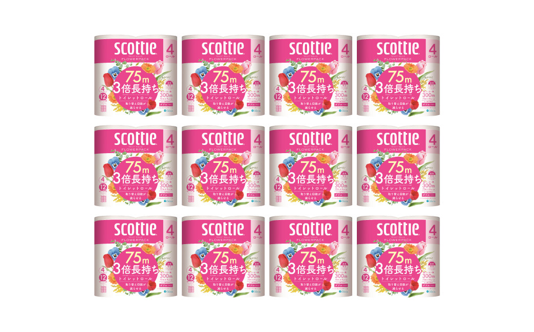 【定期便3回】【2ヶ月に1回お届け】【スコッティ】フラワーパック 3倍長持ち 4ロール（ダブル）x 12パック 合計48ロール