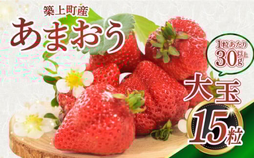 築上町産 あまおう <月> 1箱 15粒【1月中旬以降順次発送】《築上町》【エースいちご株式会社】 [ABAG004] 大粒 あまおう 苺 いちご プレゼント ギフト 贈答 いちご あまおう 福岡県産苺 苺 いちご あまおう 冷凍 ichigo strawberry itigo 果物 くだもの フルーツ イチゴ 苺 国産 福岡産 福岡県産 築上町産 人気 おすすめ 17000 17000円
