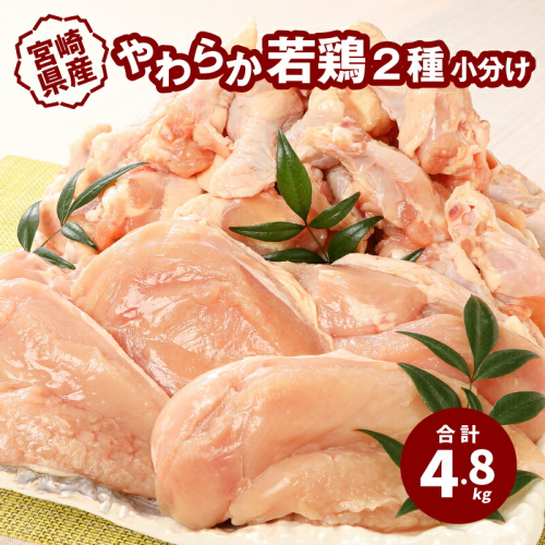 宮崎県産 やわらか若鶏2種 (ムネ肉 手羽元) 小分け 4.8kg_K16_0112_1