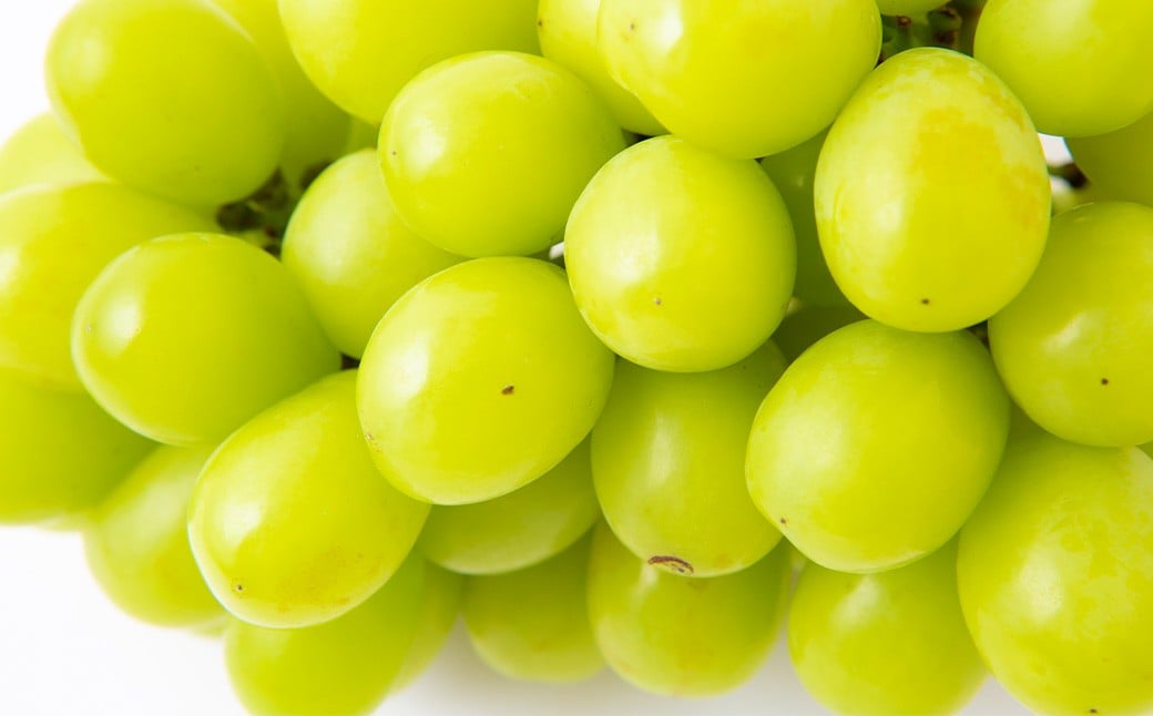 【先行予約】シャインマスカット 2房から3房 (約1.6kg) 