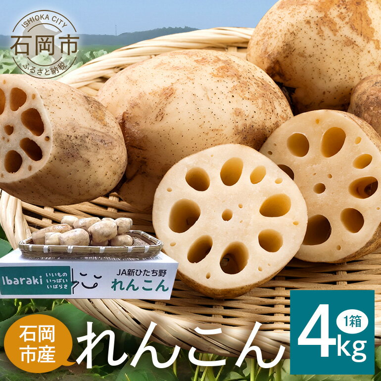 【ふるさと納税】 れんこん 1箱 ( 約 4kg ) 新ひたち野大地のめぐみ 旬の野菜 季節限定 良質 レンコン 蓮根 根菜 野菜 旬 新鮮 農産物 食品 産地直送 農園直送 茨城県 石岡市 (B01-012)