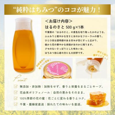 ふるさと納税 大網白里市 千葉県産純粋はちみつ【500g 1本 】はるのさと(百花蜜) |  | 03