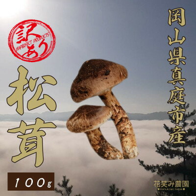 【ふるさと納税】花笑み農園　岡山県産　訳あり『松茸』100g(1～4本)【配送不可地域：離島】【1602123】