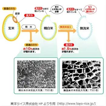 BG無洗米コシヒカリ 5kg×3回 定期便【隔月】【令和7年産 2ヶ月に1回 配送 6ヶ月 計15kg 半年間 島根県産 愛を米 米 こしひかり 新生活応援 お試し 節水 時短 アウトドア キャンプ 