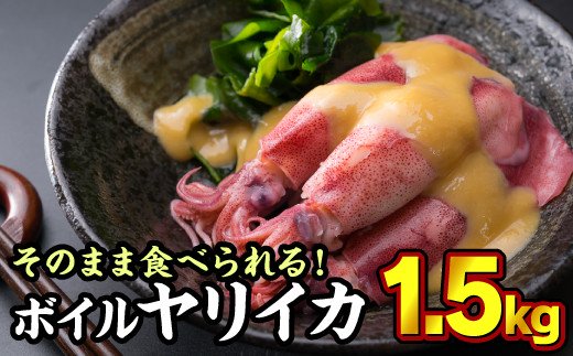 ボイルヤリイカ 約1.5kg（300g × 5袋）セット（到着日時指定必須商品） いか イカ 烏賊 焼きそば 煮物 お好み焼き 焼き物 フライ おつまみ つまみ あて 小分け 使い切り 旨味 簡単 個別包装 少量 人気 大満足 リピート MT-9