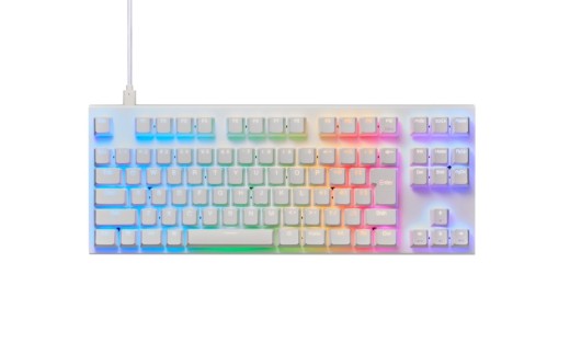 東プレ REALFORCE GX1 Plus キーボード 日本語配列 テンキーレス 45g 白 （型式：X1PC21）