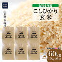 【ふるさと納税】＜令和6年産米＞ 大蔵村 コシヒカリ ＜玄米＞ 60kg 定期便（10kg×6回お届け）