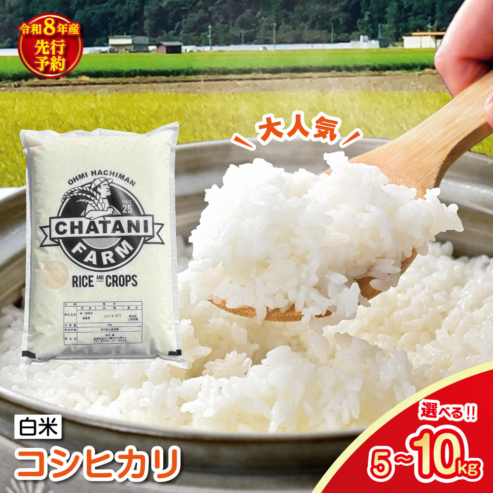 【ふるさと納税】【新米　先行予約】令和8年産近江米　コシヒカリ 白米 5kg / 10kg 選べる 滋賀県産